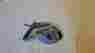 2802699 Mopar Mirror Chrysler Plymouth Dodge