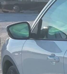 128-13901l Ford 2020-2022 Escape Lh Driver Door Mirror Side View Oem