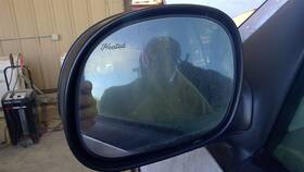 F85z17683hab Ford Truck Driver Side View Mirror Power Heated Fits 97-02 Expedition