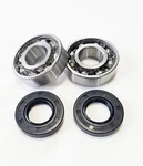 Suzuki LT80 Main Crank Bearings And Seals Kit 97 98 99 00 01 02 03 04 05 06. Fixed Price $22.00.