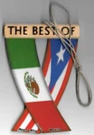 Mexico And Puerto Rico Rear View Mirror Mini Flags For The Car Unity Flagz. Fixed Price $12.98.