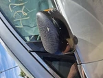 2012 Honda Odyssey Driver Side Mirror Assembly Oem Used Gloss Black 3703244. Fixed Price $69.97.