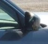 2014-2017 Infiniti QX70 Rh Passenger Door Mirror Side View Oem. Fixed Price $234.26.