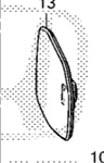 Genuine Honda Mirror Glass 76203-3W0-C02. Fixed Price $69.71.