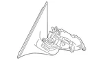 Genuine Bmw Mirror 51-16-7-350-703. Fixed Price $975.27.