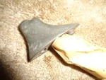 Mirror Mount Post, Interior, Original. 54L-56 Corvette. Fixed Price $15.95.