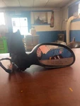 2000-07 Ford Taurus Right Power Door Mirror Oem YF1Z17682SHD. Fixed Price $40.00.