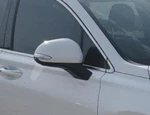 2019-2019 Hyundai Santa Fe Rh Passenger Door Mirror Side View Oem. Fixed Price $422.94.