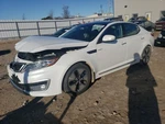 Driver Side View Mirror Power Turn Signal Hybrid Fits 12-13 Optima 4274586. Fixed Price $102.99.
