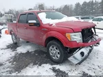 Passenger Side View Mirror Power Pedestal Fits 09-10 Ford F150 Pickup 2098419. Fixed Price $111.98.