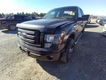 Driver Side View Mirror Power Pedestal Fits 11-14 Ford F150 Pickup 11870158. Fixed Price $122.02.