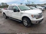 Passenger Side View Mirror Manual Dual Arms Fits 07-14 Ford F150 Pickup 209390. Fixed Price $79.99.