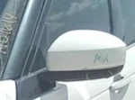 2017-2018 Land Rover Discovery Lh Driver Door Mirror Side View Oem. Fixed Price $549.08.
