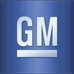 Genuine Gm 1986-1996 Buick Pontiac Oldsmobile Right Side View Mirror 10284769. Fixed Price $160.37.