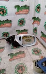 Passenger Side View Mirror Power Opt QQ1 Fits 09-14 Audi Q5 3056671. Fixed Price $376.99.