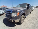 Driver Side View Mirror Power Heated Signal Fits 07-14 Ford F150 Pickup 12255600. Fixed Price $179.02.