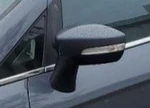 2018-2022 Ford Ecosport Lh Driver Door Mirror Side View Oem. Fixed Price $220.48.