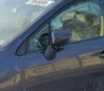 Subaru Wrx Xv Crosstrek Lh Driver Electric Door Mirror W/turn Signal Oem Lkq. Fixed Price $231.08.