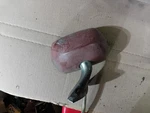 Amc Lh Drivers Side Mirror Painted Head Chrome Base. Fixed Price $32.00.