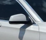 2009-2012 Bmw 750 Rh Passenger Door Mirror Side View Oem. Fixed Price $260.76.