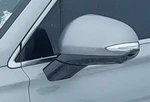 2020-2020 Hyundai Santa Fe Lh Driver Door Mirror Side View Oem. Fixed Price $469.58.