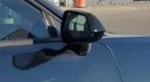 2016-2019 Chevrolet Camaro Rh Passenger Door Mirror Side View Oem. Fixed Price $270.30.