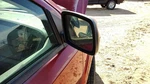 2009-2013 Dodge Journey Passenger Right Side Mirror Door Mounted Oem 1CE201A4AD. Fixed Price $64.12.