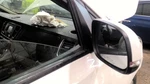 Passenger Side View Mirror Power Repeater Lamp Fits 15-21 Sedona 6985822. Fixed Price $141.89.