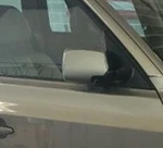 2004-2009 Bmw X3 Rh Passenger Door Mirror Side View Oem. Fixed Price $178.08.