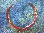Oem Gm 1971 - 978 Cadillac Seville Chrome Trunk Lid Wreath Emblem 9834650. Fixed Price $29.99.